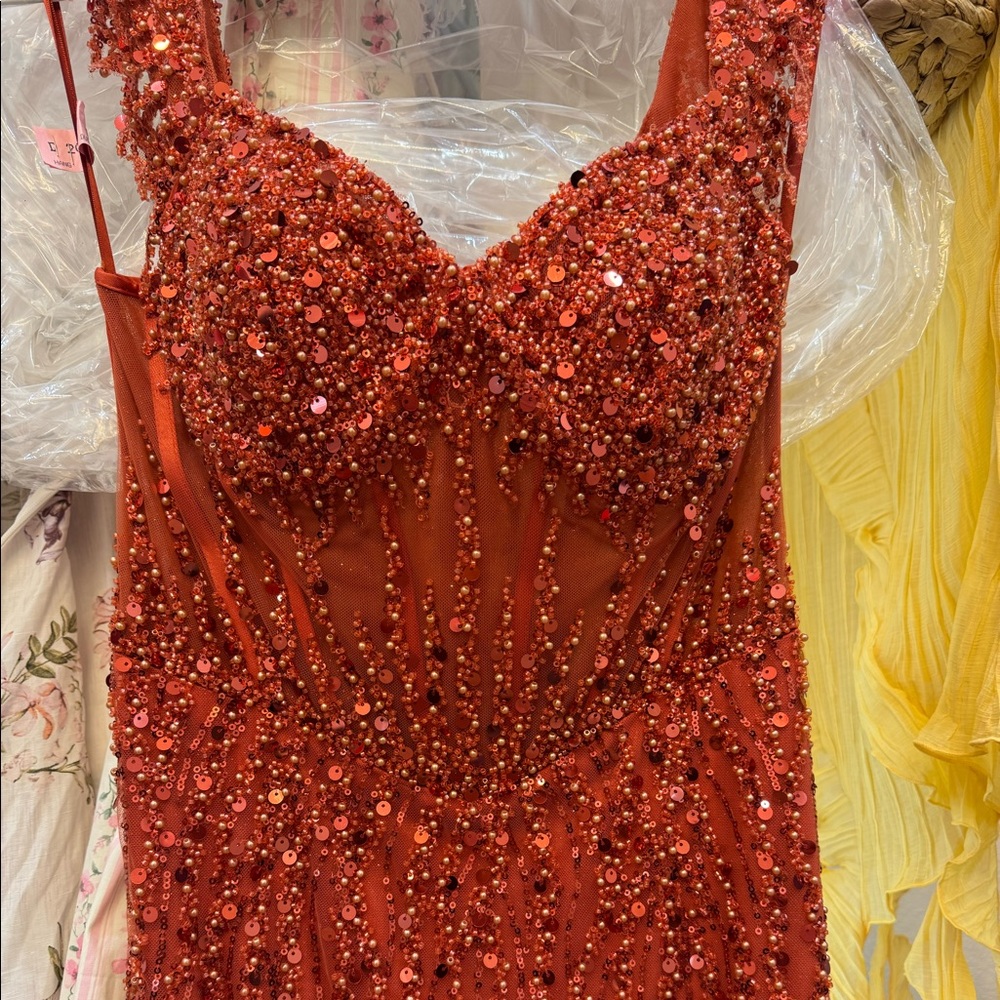 Terracotta embellished gown